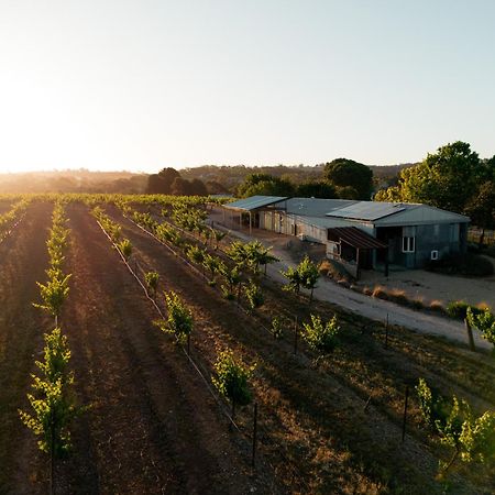 Bed In A Shed Vineyard Stay Watervale ภายนอก รูปภาพ